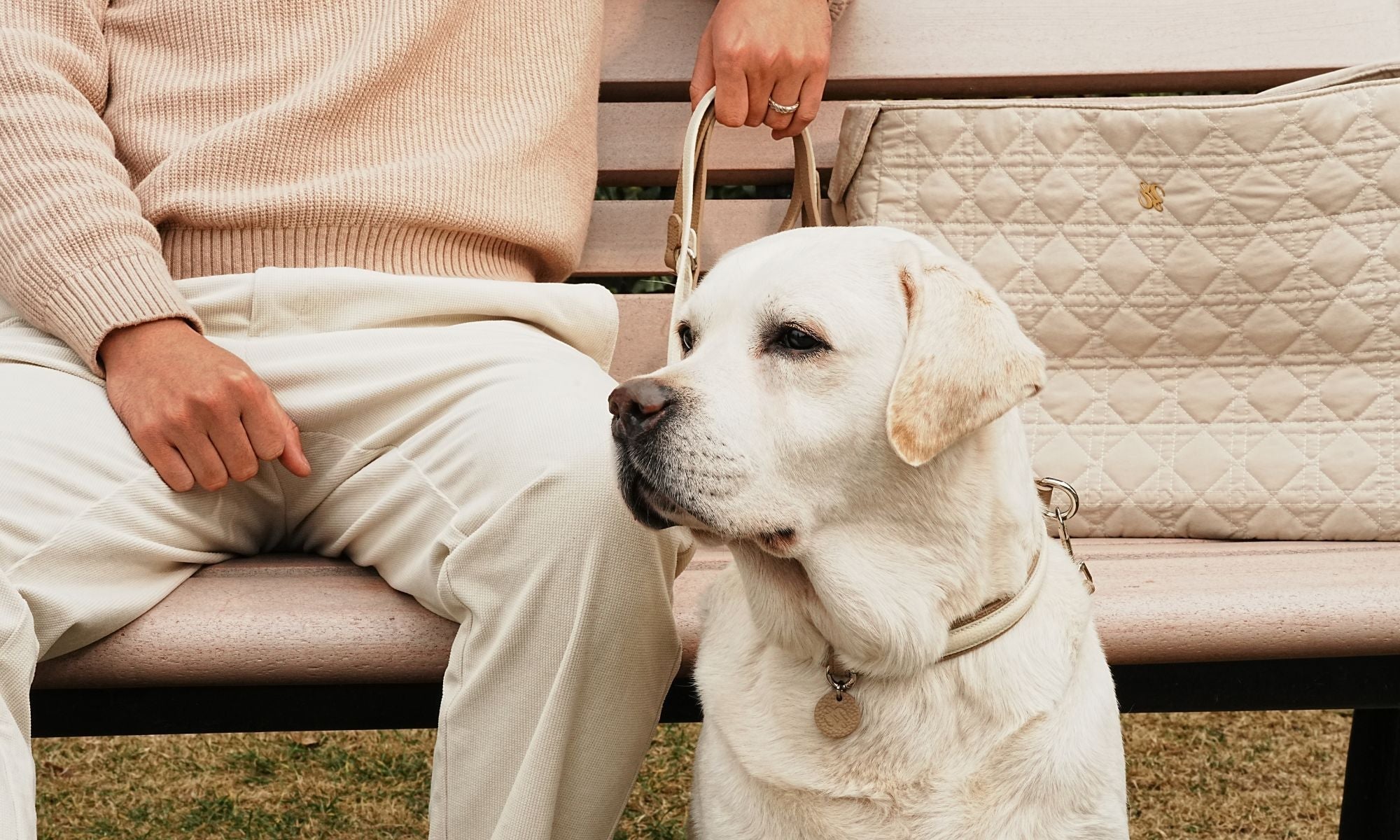 3 Tips for Traveling with Your Pet in Style