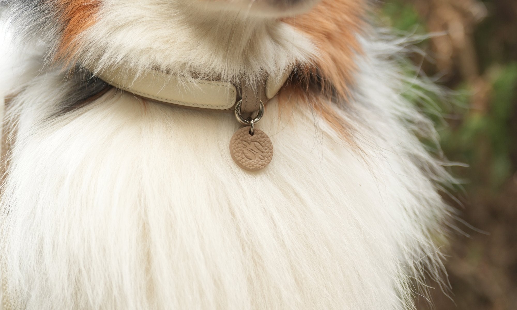 Why Semi-P Chain Collar is the Ultimate Choice?