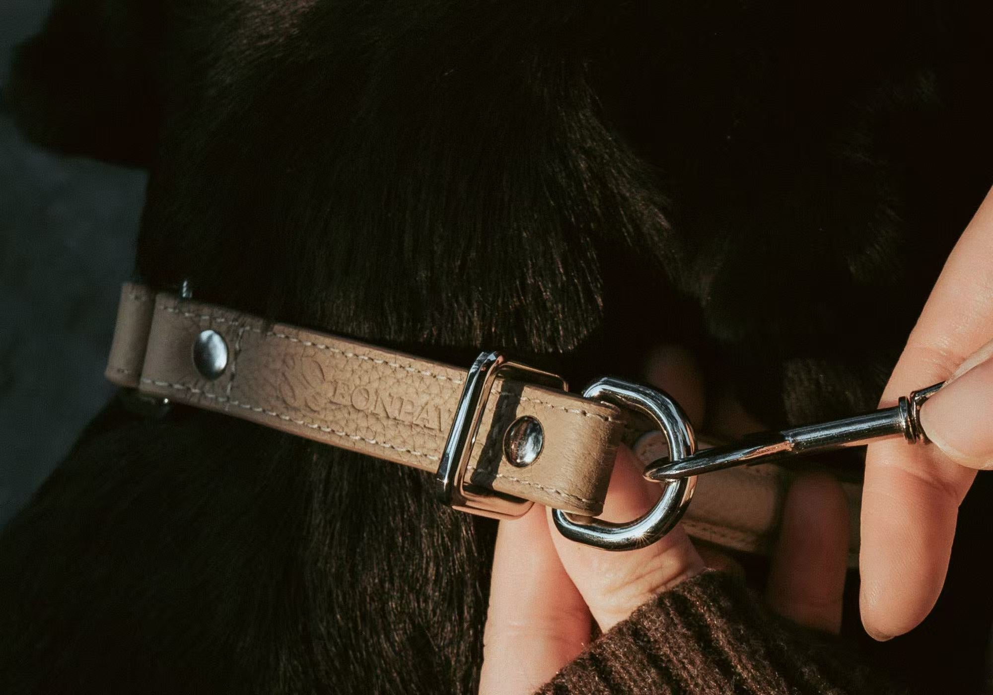Why the Semi-P Leather Collar is the Modern Essential