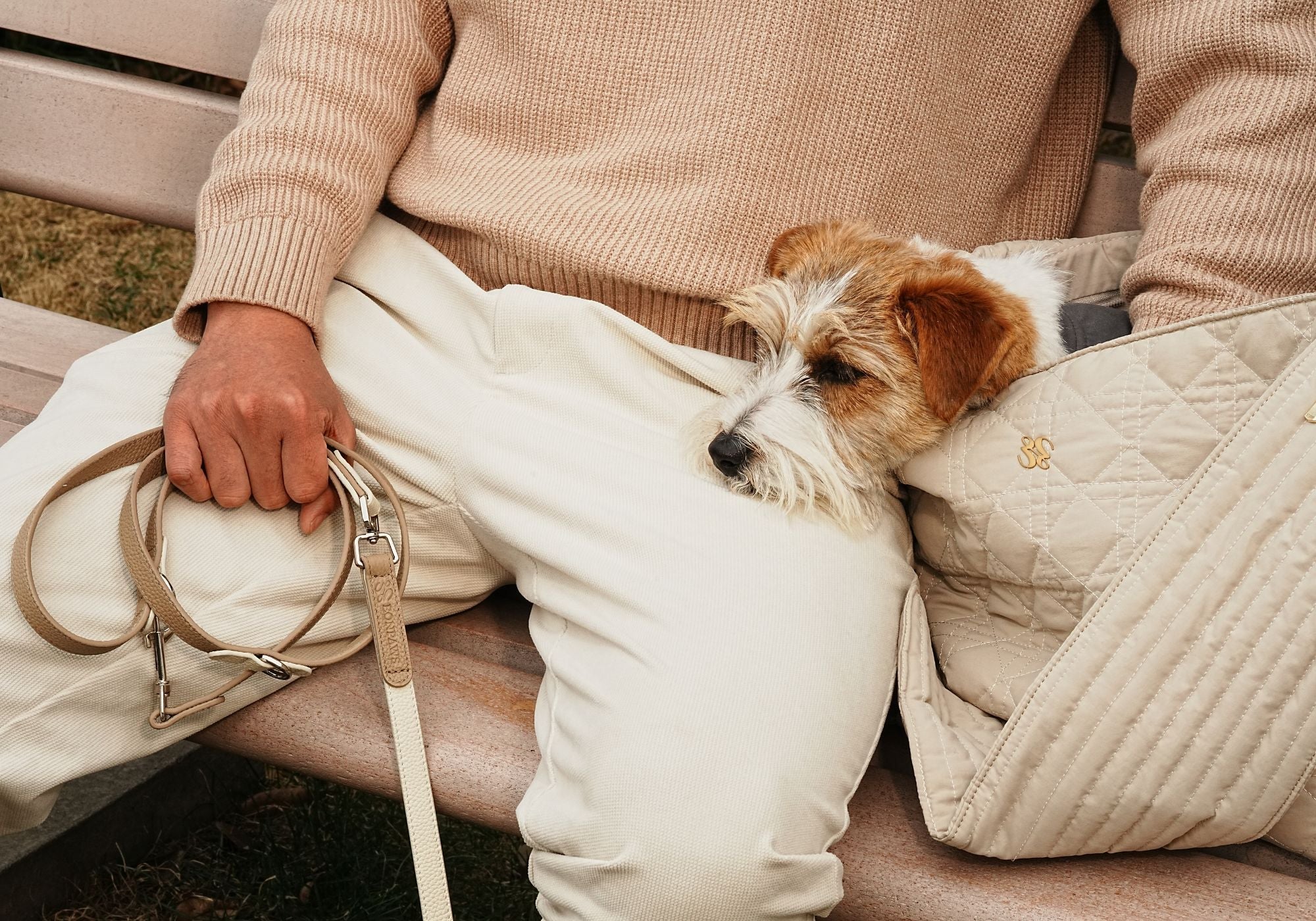 Traveling with Your Dog — Calm, Considered, and Effortless