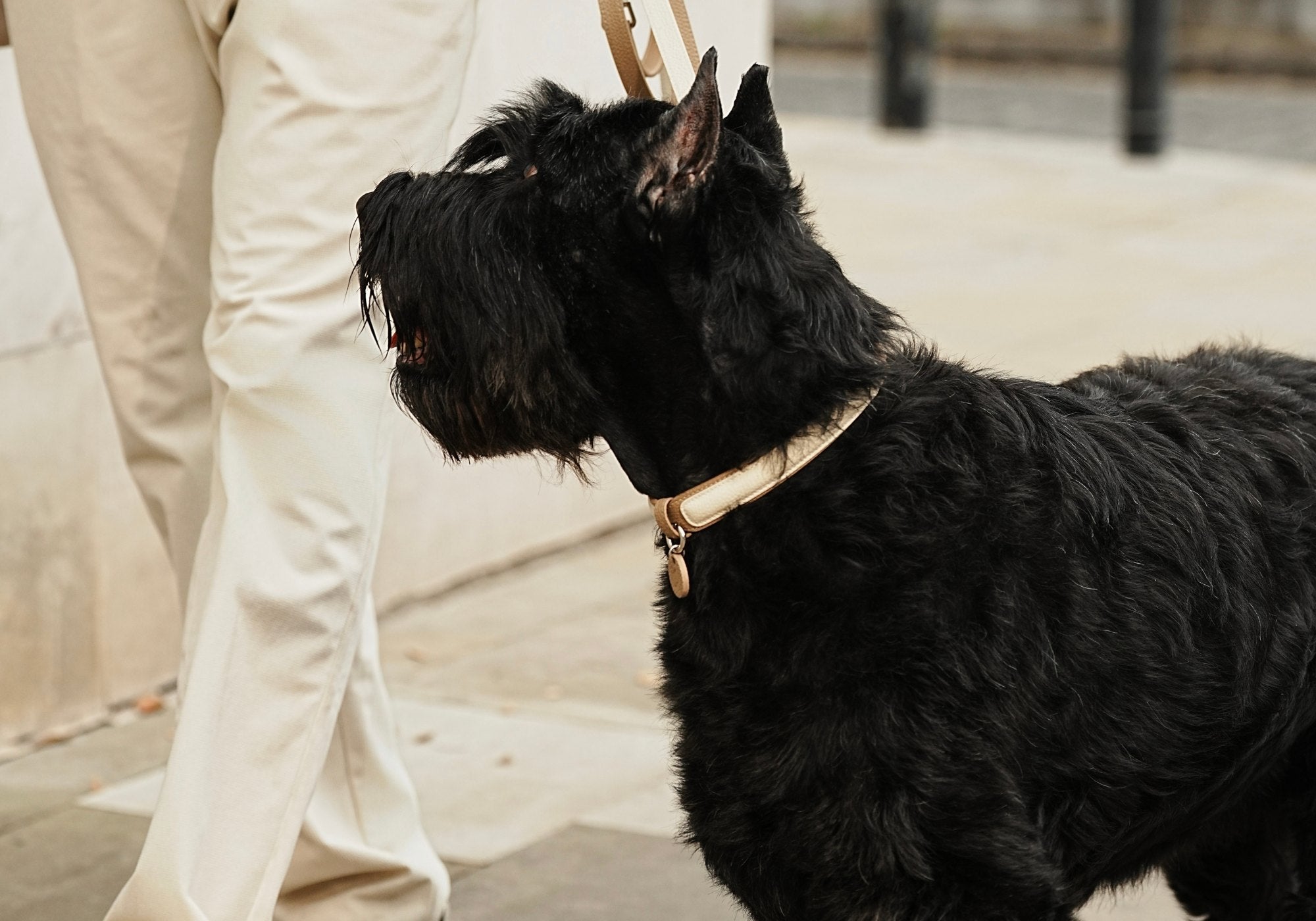 The Little Details That Elevate Your Everyday Walks