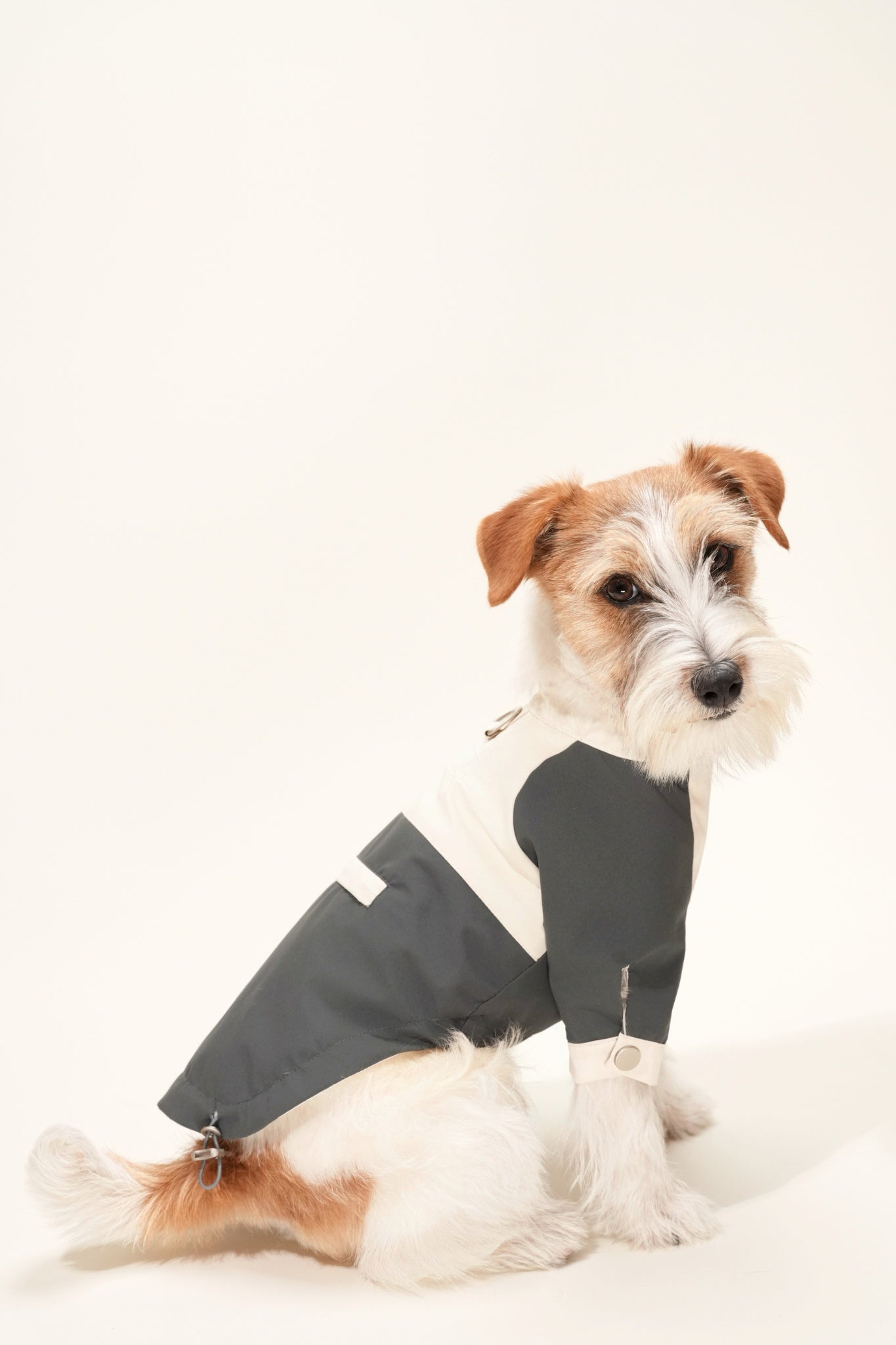 Lightweight waterproof dog jacket with adjustable fit, wind shield, and hidden pocket—perfect for city streets and mountain trails alike, always keep dry, fresh and stylish.#color_Grey Ivory
