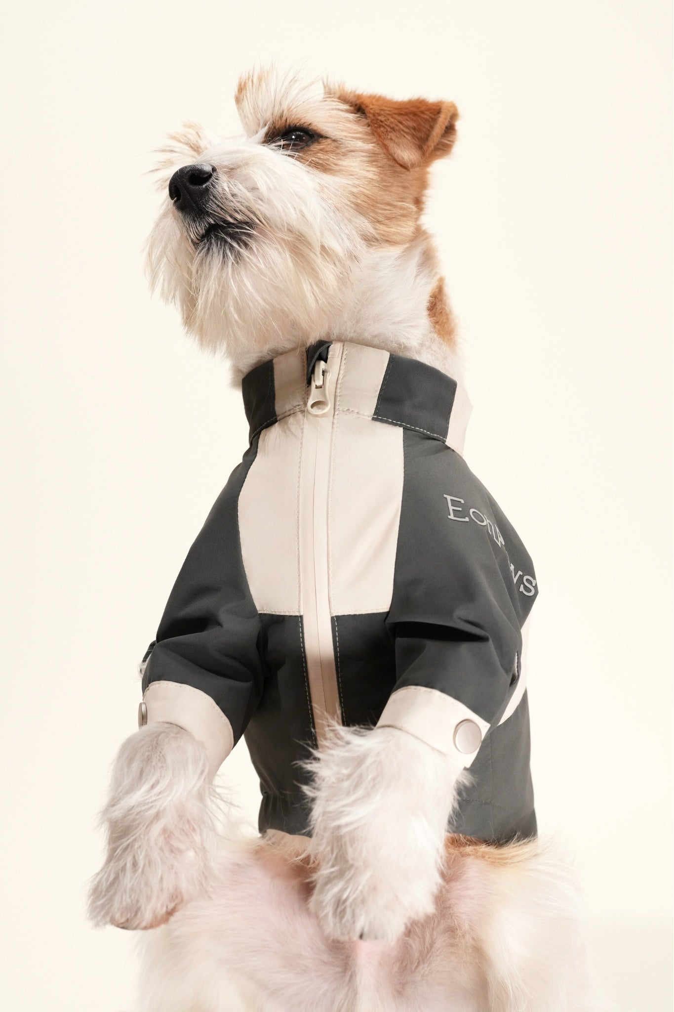 Lightweight waterproof dog jacket with adjustable fit, wind shield, and hidden pocket—perfect for city streets and mountain trails alike, always keep dry, fresh and stylish.#color_Grey Ivory