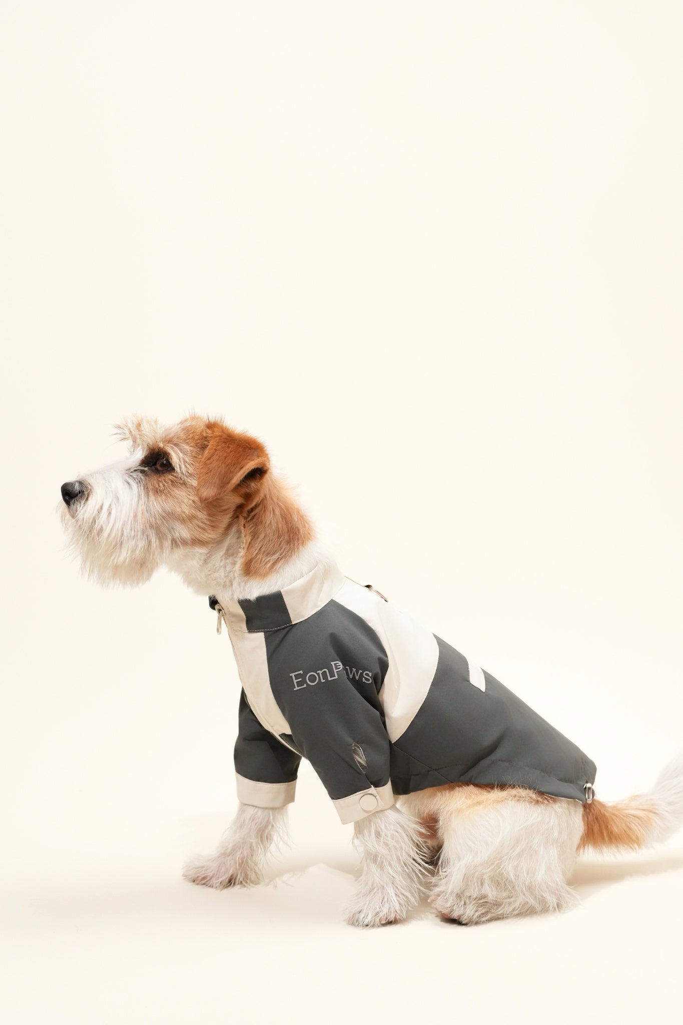 Lightweight waterproof dog jacket with adjustable fit, wind shield, and hidden pocket—perfect for city streets and mountain trails alike, always keep dry, fresh and stylish.#color_Grey Ivory