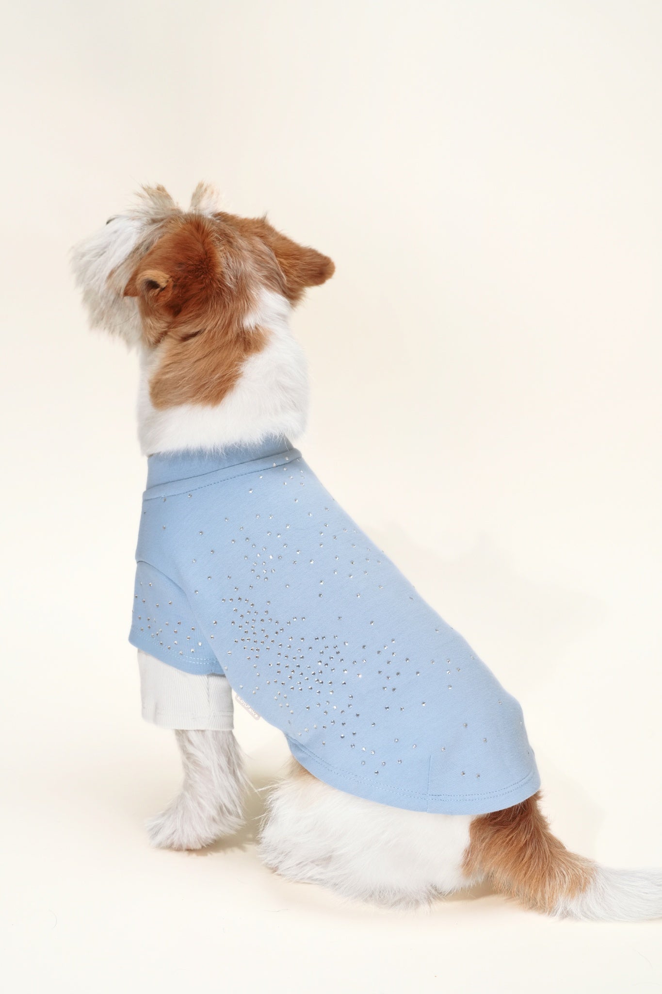 Baby‑soft dog sweater with stretch, and subtle rhinestone detailing—perfect for transitional weather and elevated daily wear.#color_Pale Blue