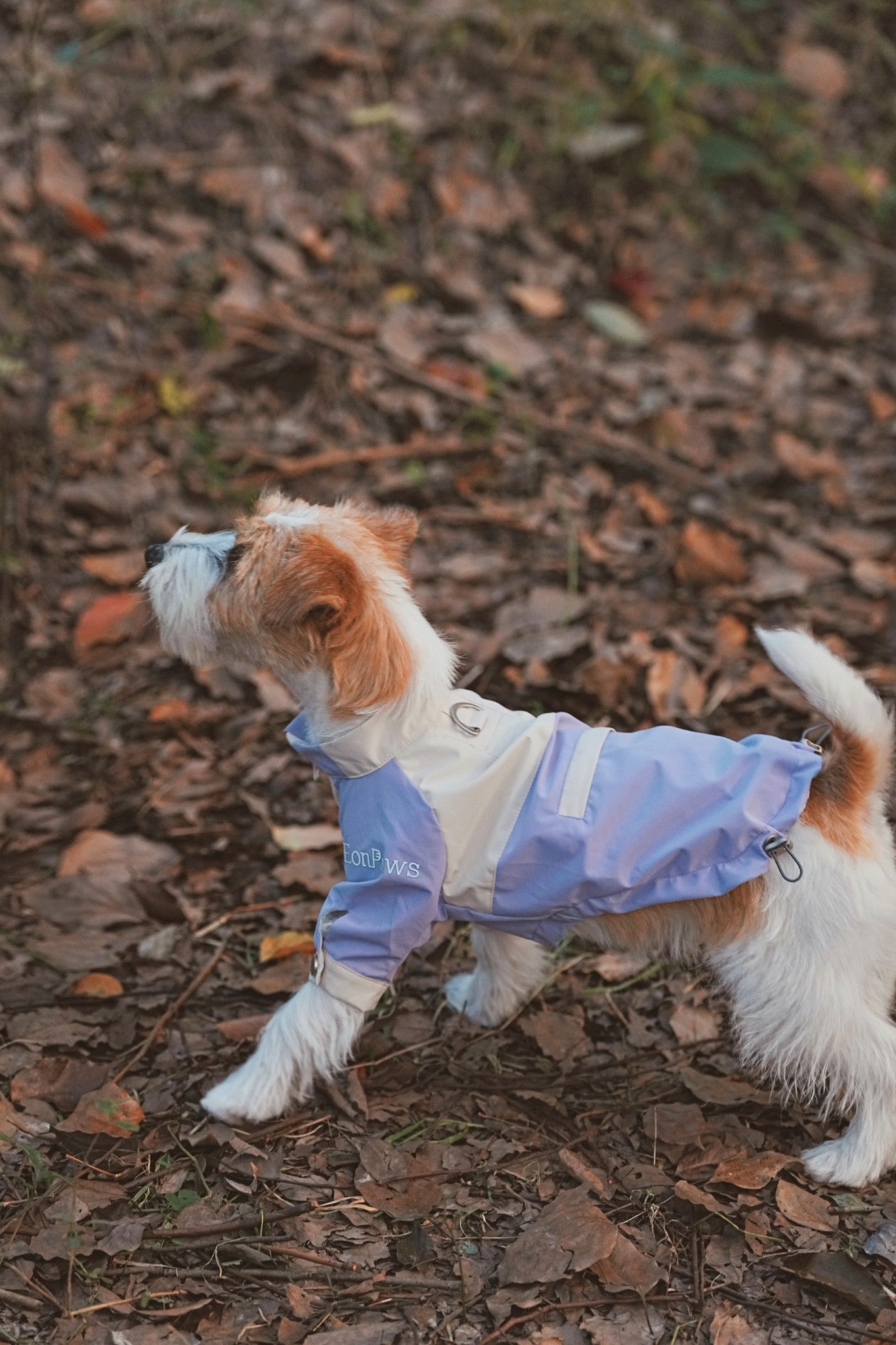 Lightweight waterproof dog jacket with adjustable fit, wind shield, and hidden pocket—perfect for city streets and mountain trails alike, always keep dry, fresh and stylish.#color_Lilac Ivory