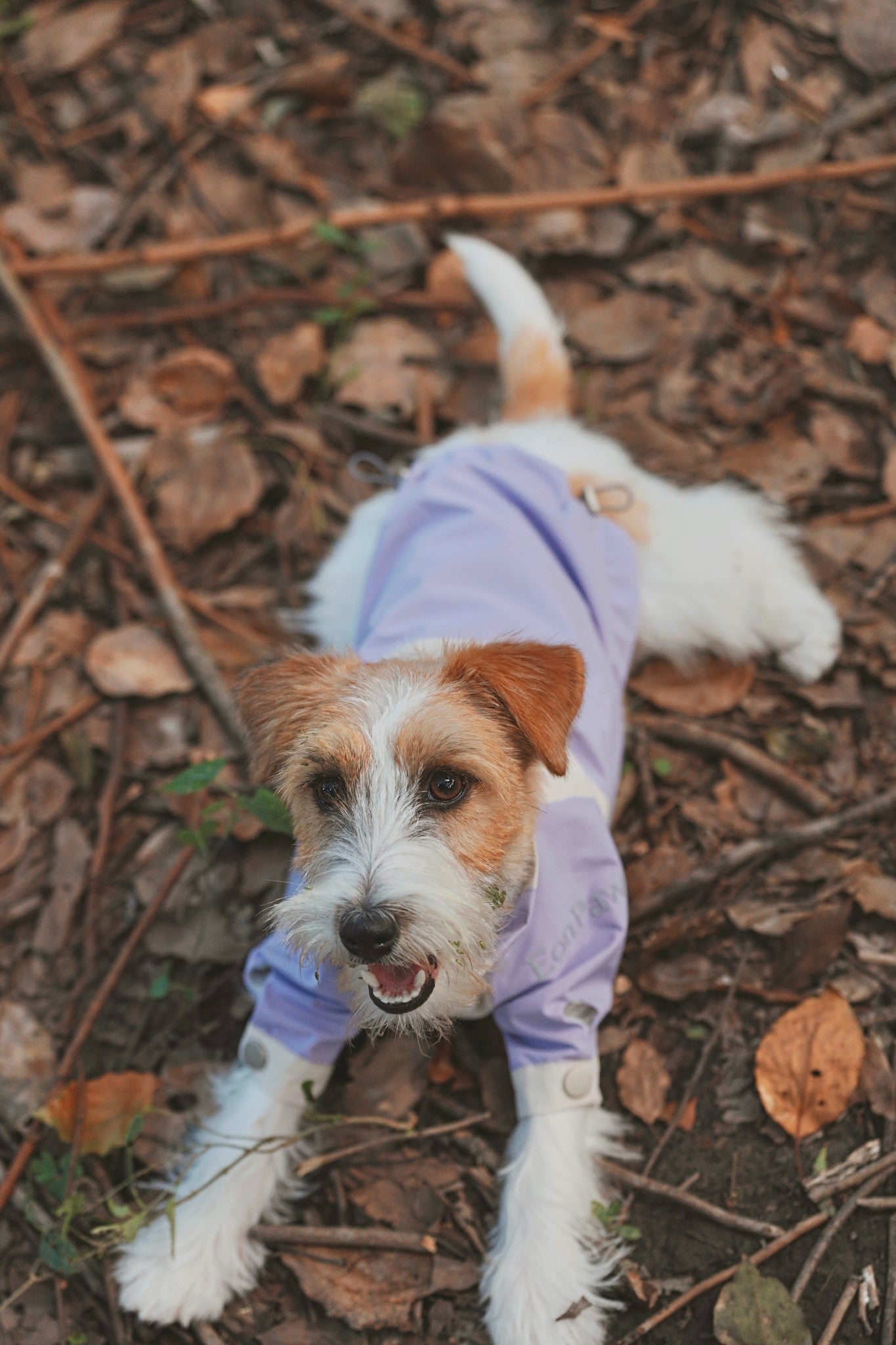 Lightweight waterproof dog jacket with adjustable fit, wind shield, and hidden pocket—perfect for city streets and mountain trails alike, always keep dry, fresh and stylish.#color_Lilac Ivory