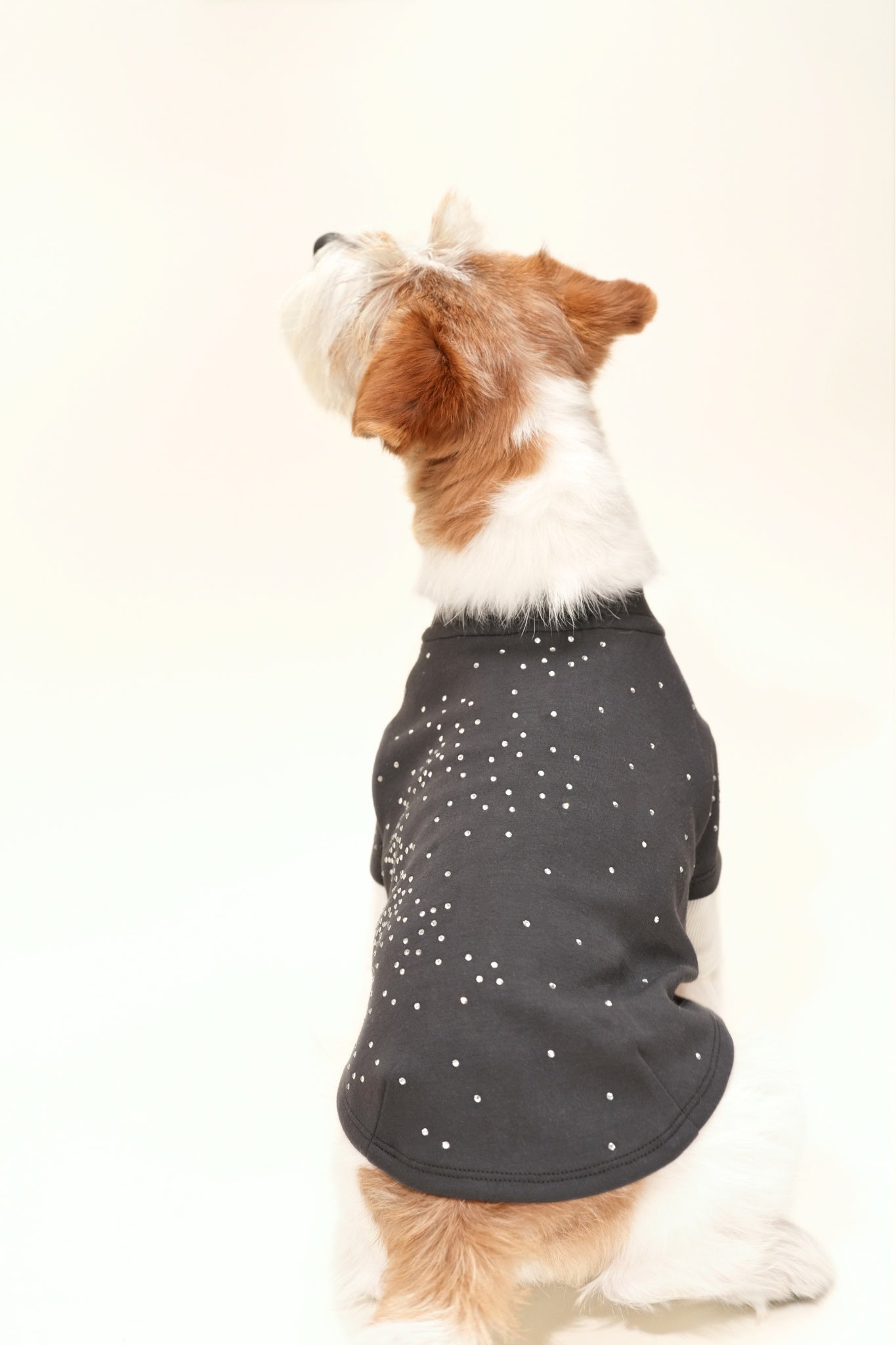Baby‑soft dog sweater with stretch, and subtle rhinestone detailing—perfect for transitional weather and elevated daily wear.#color_Charcoal Grey