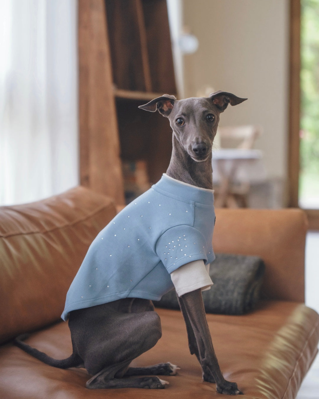 Dog moving naturally in soft-strench fabric crewneck#color_Pale Blue