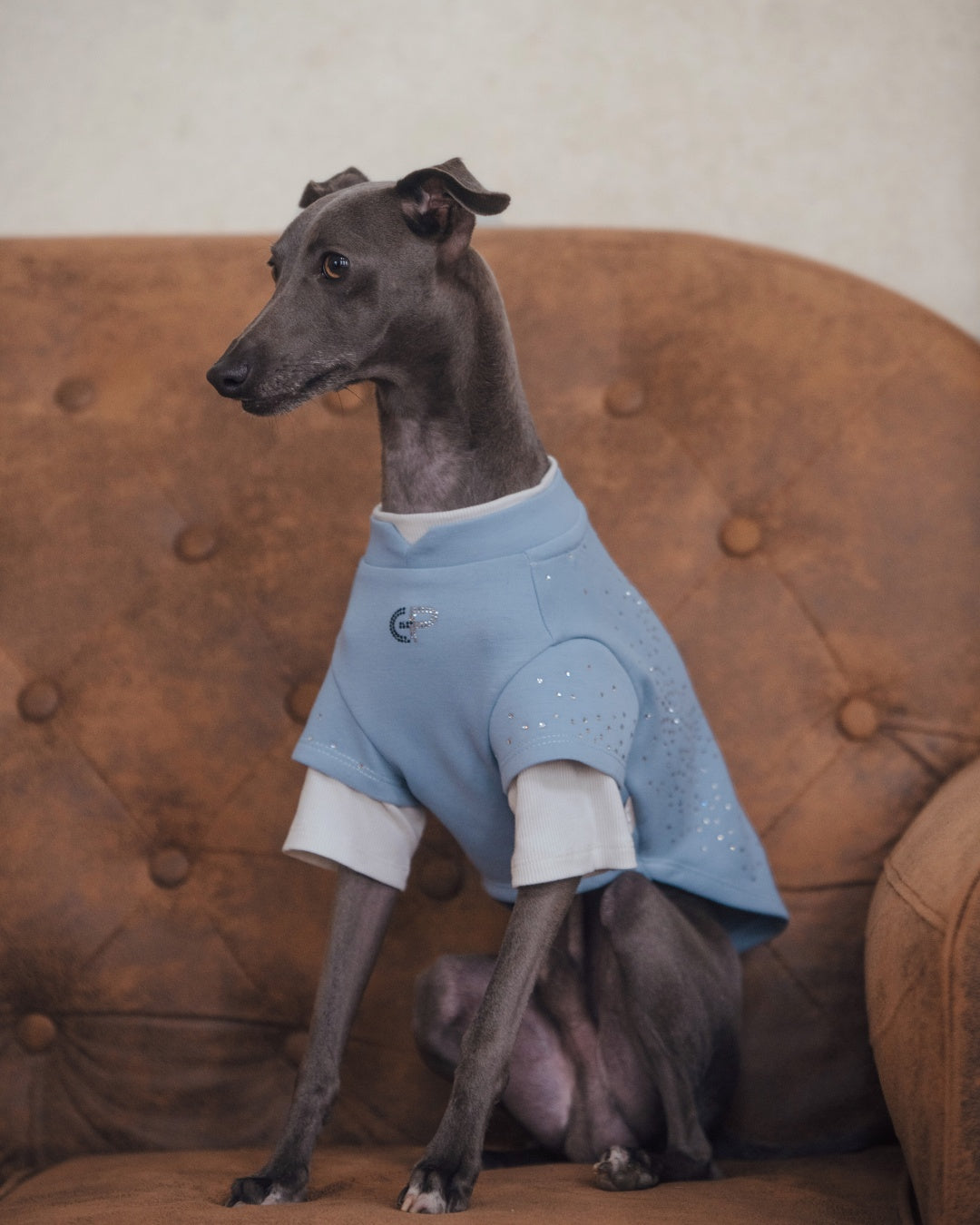 Dog wearing soft crewneck indoors#color_Pale Blue