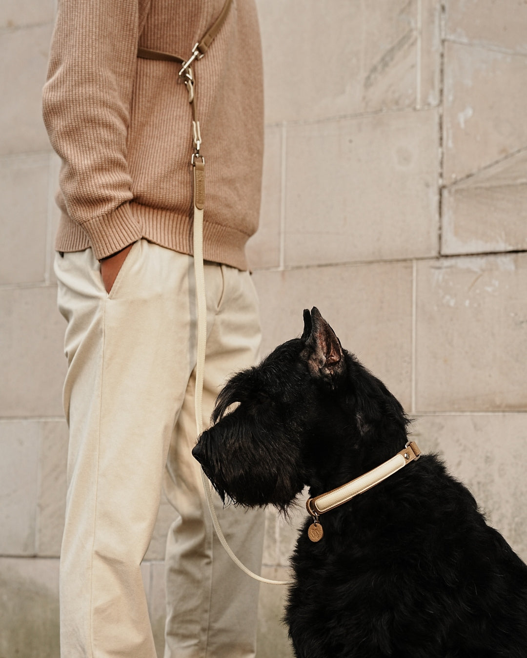 Semi-P leather collar and hands-free leash, worn across the body for calm walking.#color_Vanilla Taupe