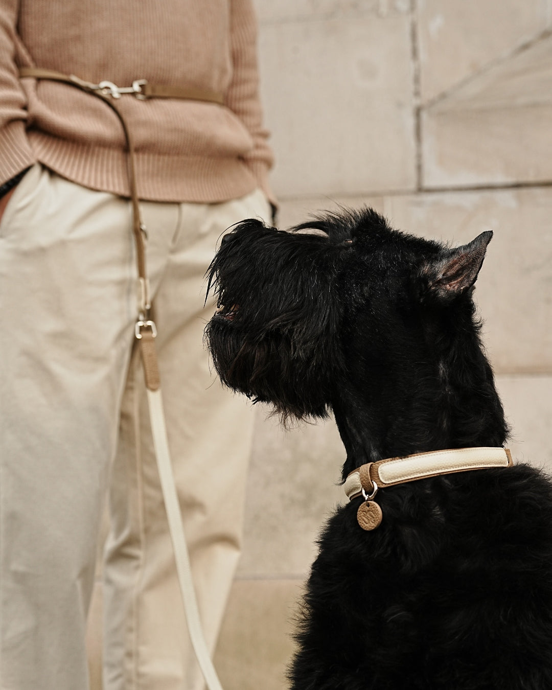The versatile leather leash is lightweight yet practical, with refined elegance. Three 360° swivel snaps offer convenience as hand-held, cross-body, or waist-worn.#color_Vanilla Taupe