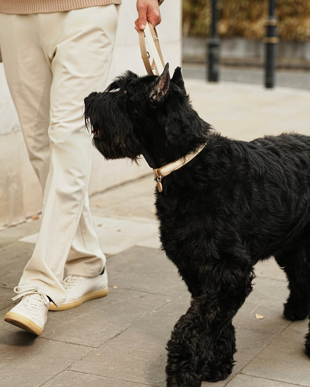 The versatile leather leash is lightweight yet practical, with refined elegance. Three 360° swivel snaps offer convenience as hand-held, cross-body, or waist-worn.#color_Vanilla Taupe