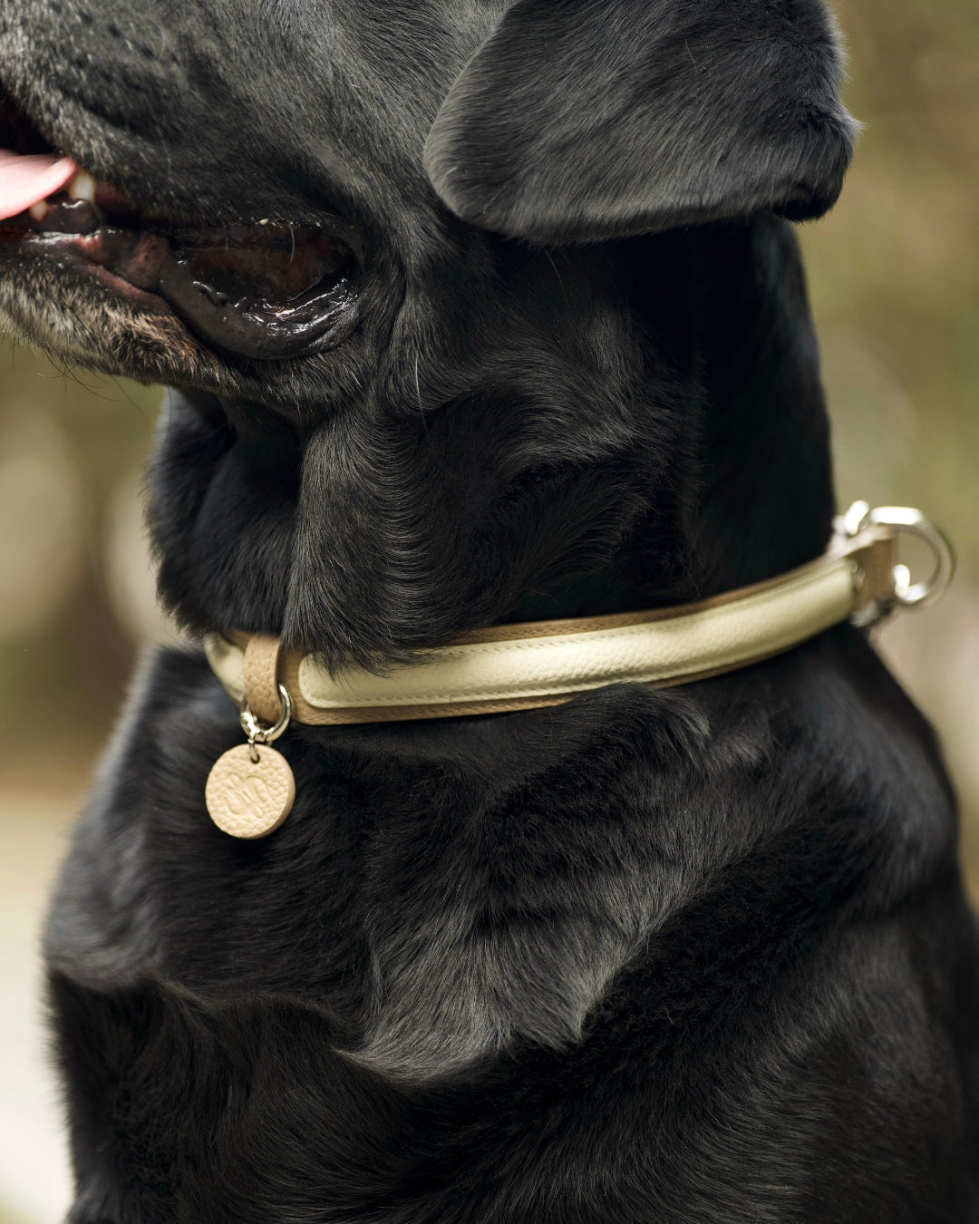 The elegant semi-P chain leather collar, made of premium-quality, soft, gentle, fur-friendly material, ensures all-day wear. Suitable for medium and large dogs.#color_Vanilla Taupe