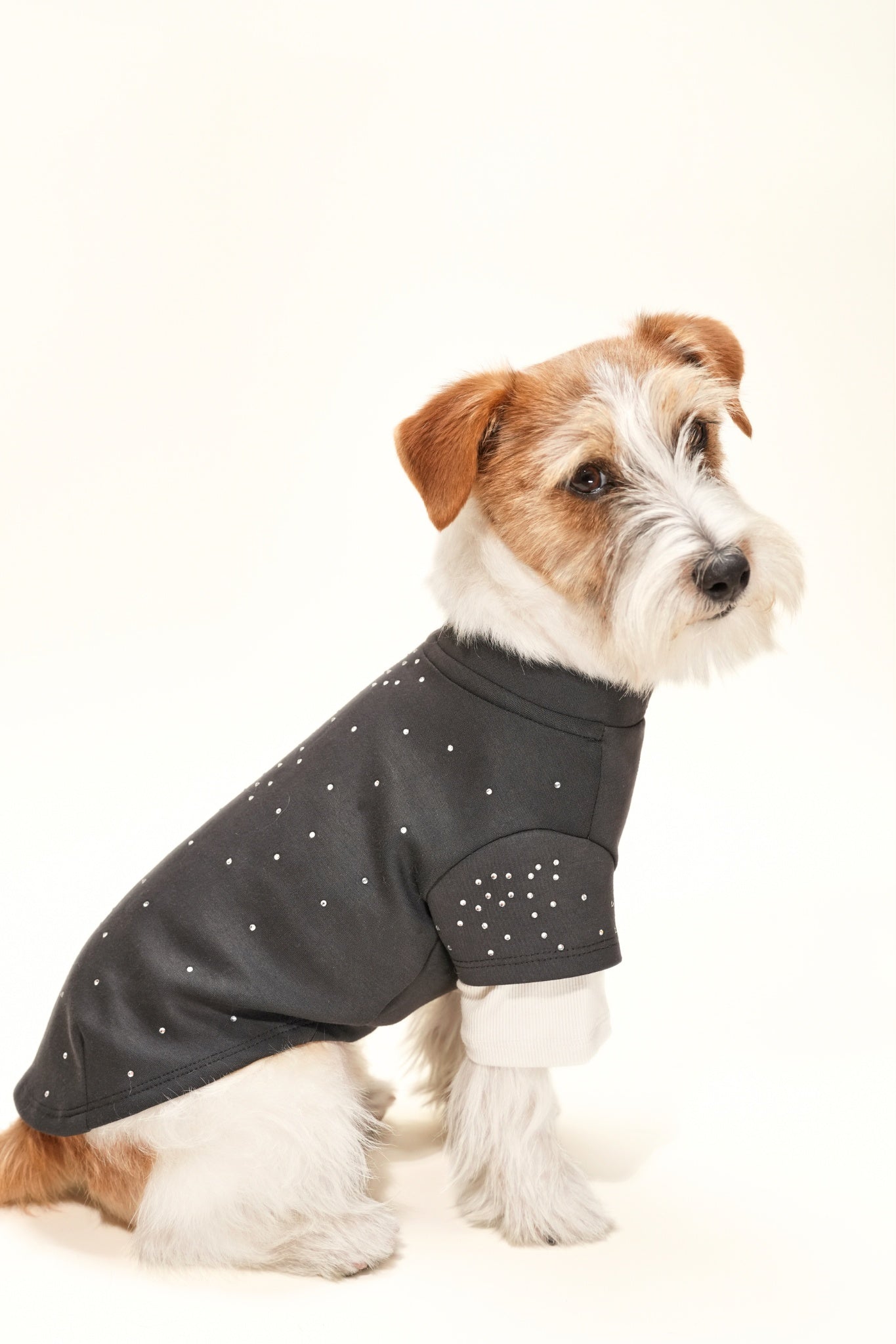 Baby‑soft dog sweater with stretch, and subtle rhinestone detailing—perfect for transitional weather and elevated daily wear.#color_Charcoal Grey