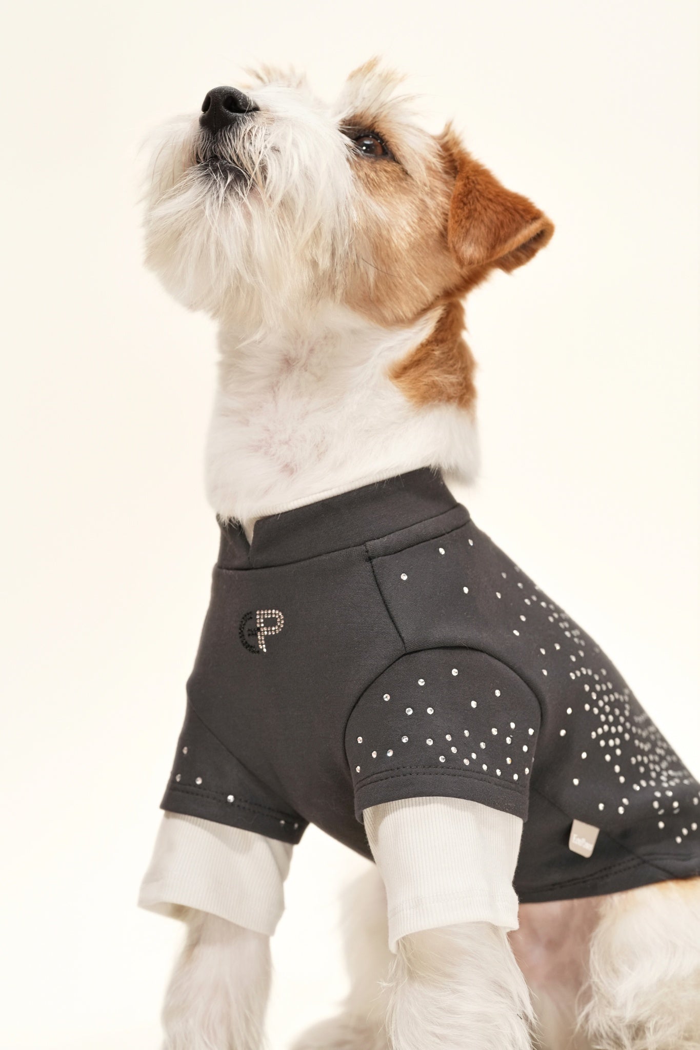 Baby‑soft dog sweater with stretch, and subtle rhinestone detailing—perfect for transitional weather and elevated daily wear.#color_Charcoal Grey