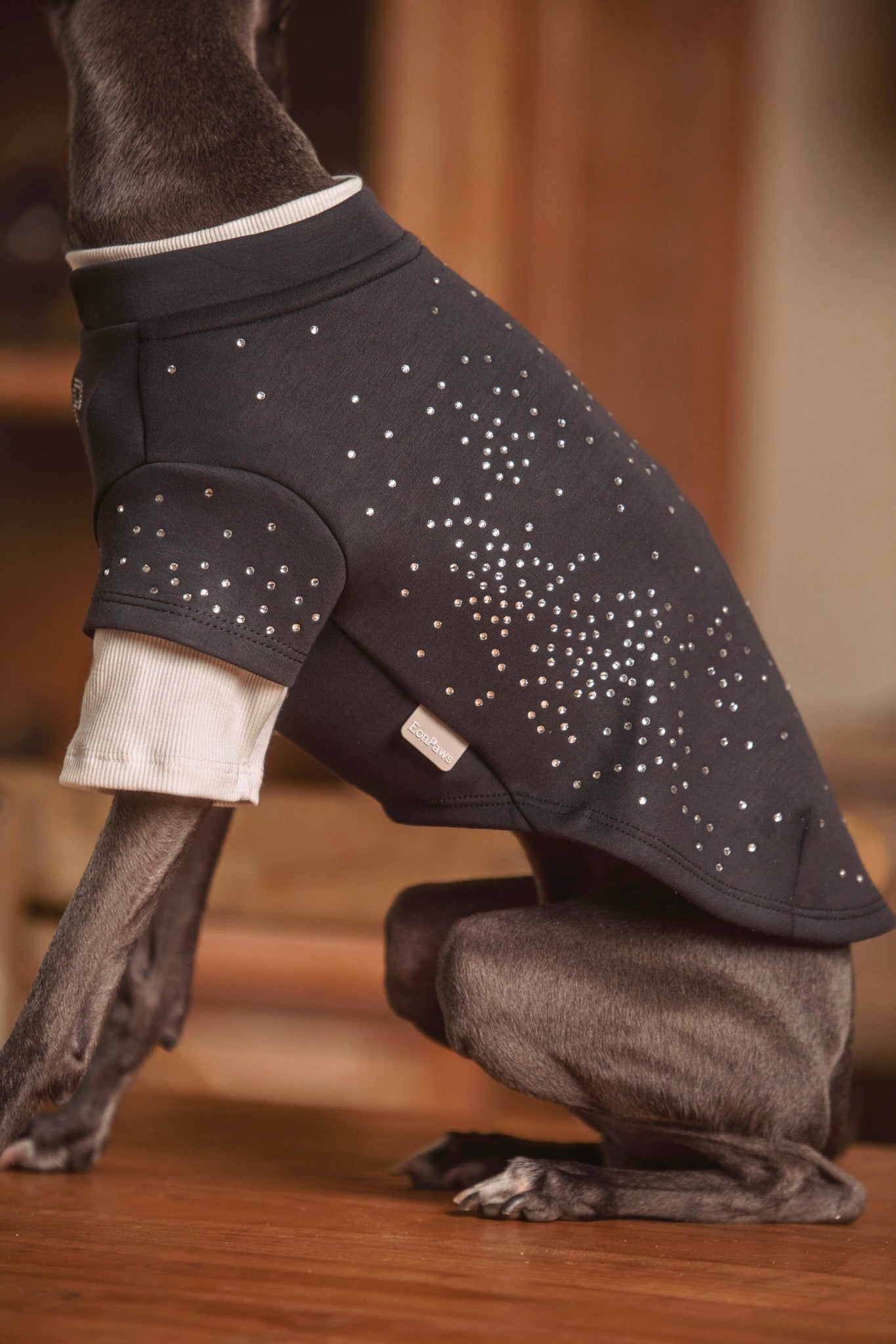 Subtle rhinestone detailing dog crewneck with stretch fit — EonPaws.#color_Charcoal Grey