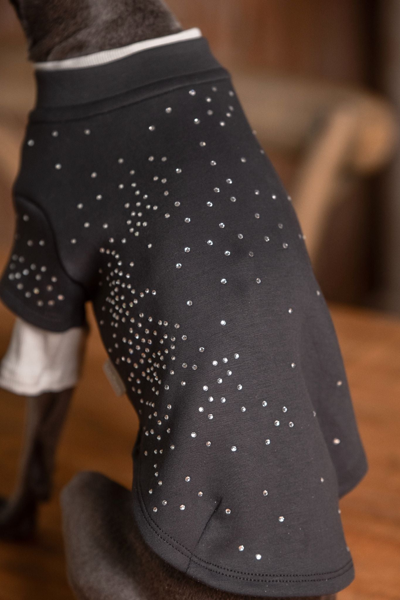 Subtle rhinestone detailing dog crewneck with stretch fit — EonPaws.#color_Charcoal Grey