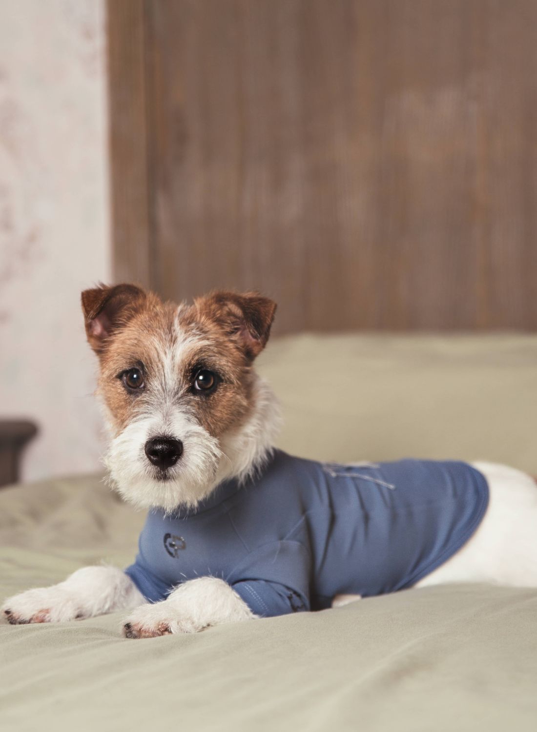 Handcrafted Airy Dog T‑Shirt Blue Violet