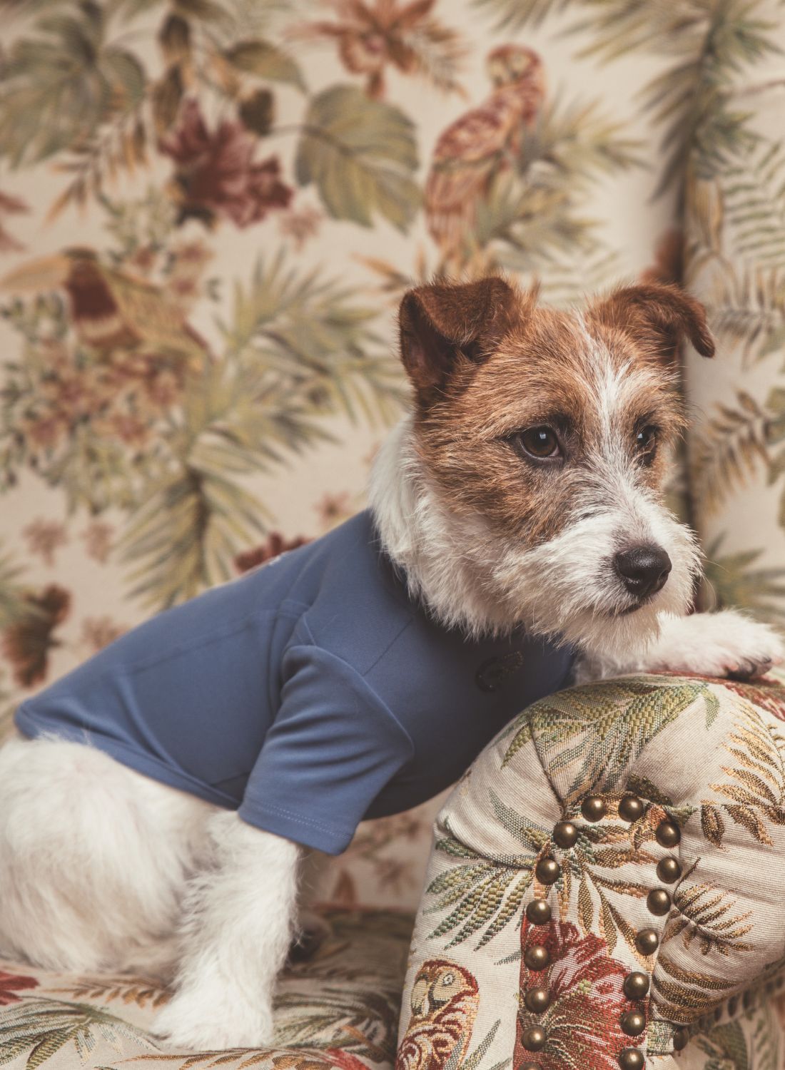 Handcrafted Airy Dog T‑Shirt Blue Violet