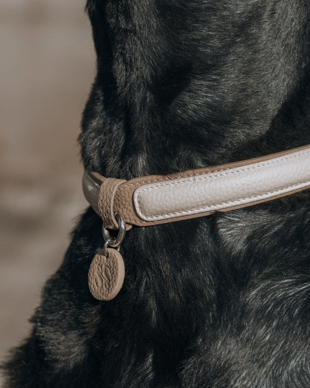 Gentle fit leather dog collar in natural light showing soft grain texture.#color_Vanilla Taupe