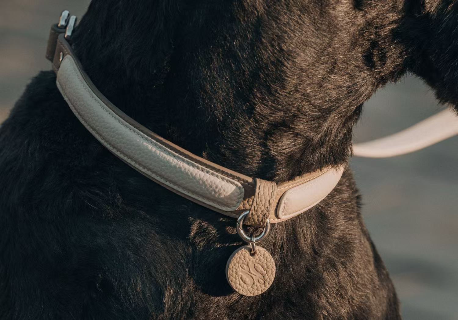 Detail view of reinforced stitching and matte hardware on a leather dog collar, designed for steady daily wear and quiet durability over time.