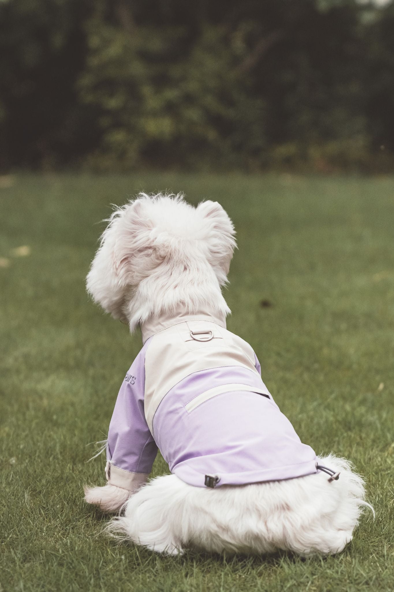 Best jacket staple for dogs, offering the perfect mix of high-end fashion and functional wear.Handcrafted with high-quality fabrics that keep your dogs dry, clean, warm, cozy, and comfortable as they look.#color_Taro Purple&Beige