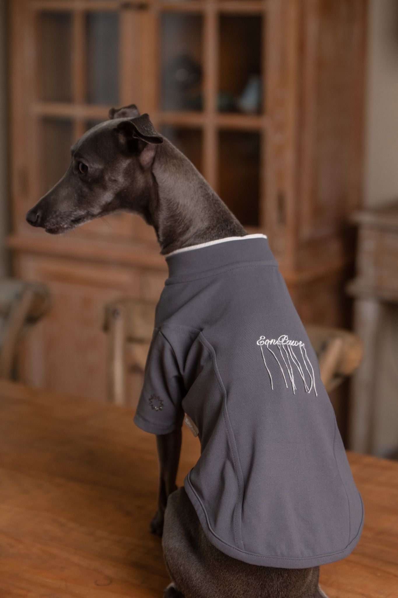 Luxury dog t-shirts that combine comfort, style, and breathable, fit for various dogs. Shop the best dog jersey to elevate your pet's wardrobe!#color_Hazy Grey