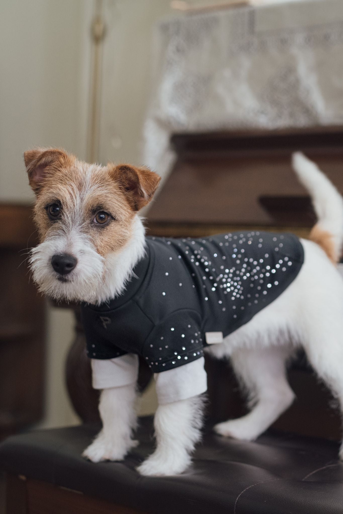 EonPaws Luxury Dog Clothes Handcrafted Sweatshirt