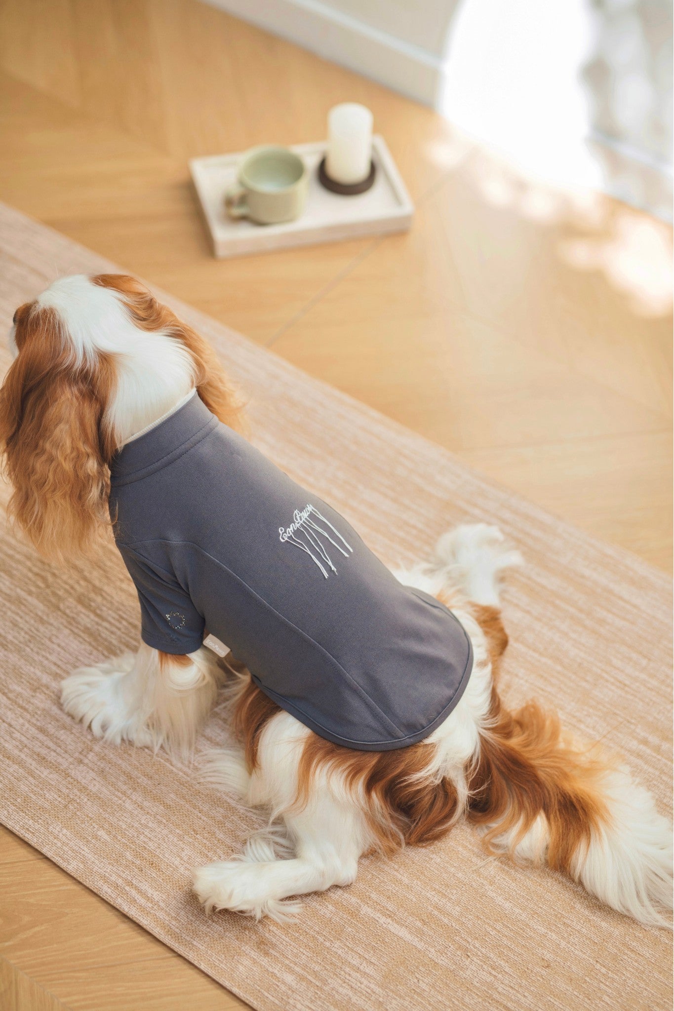 Luxury dog t-shirts that combine comfort, style, and breathable, fit for various dogs. Shop the best dog jersey to elevate your pet's wardrobe!#color_Onyx Grey