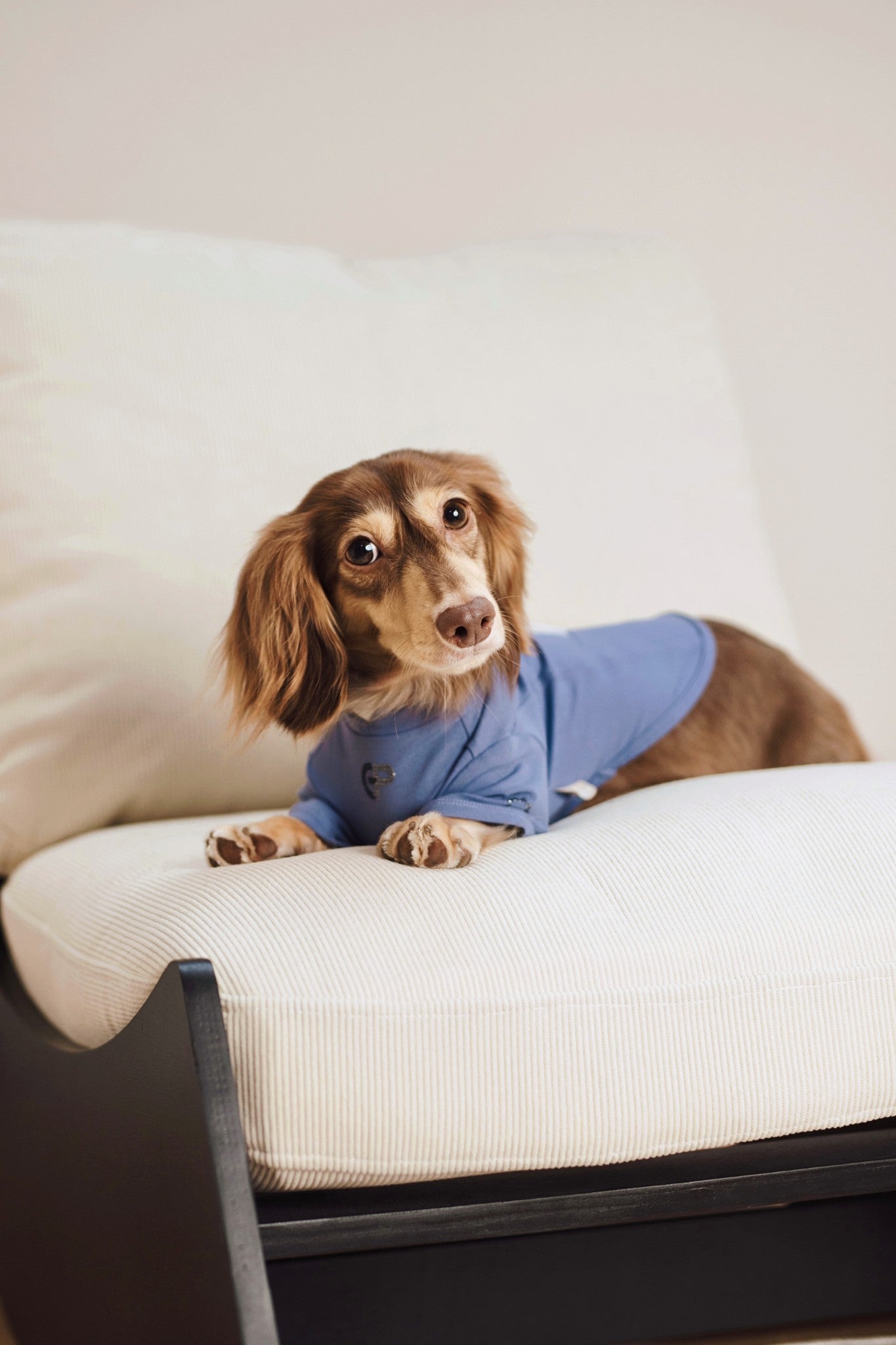 Luxury dog t-shirts that combine comfort, style, and breathable, fit for various dogs. Shop the best dog jersey to elevate your pet's wardrobe!#color_Blue Violet