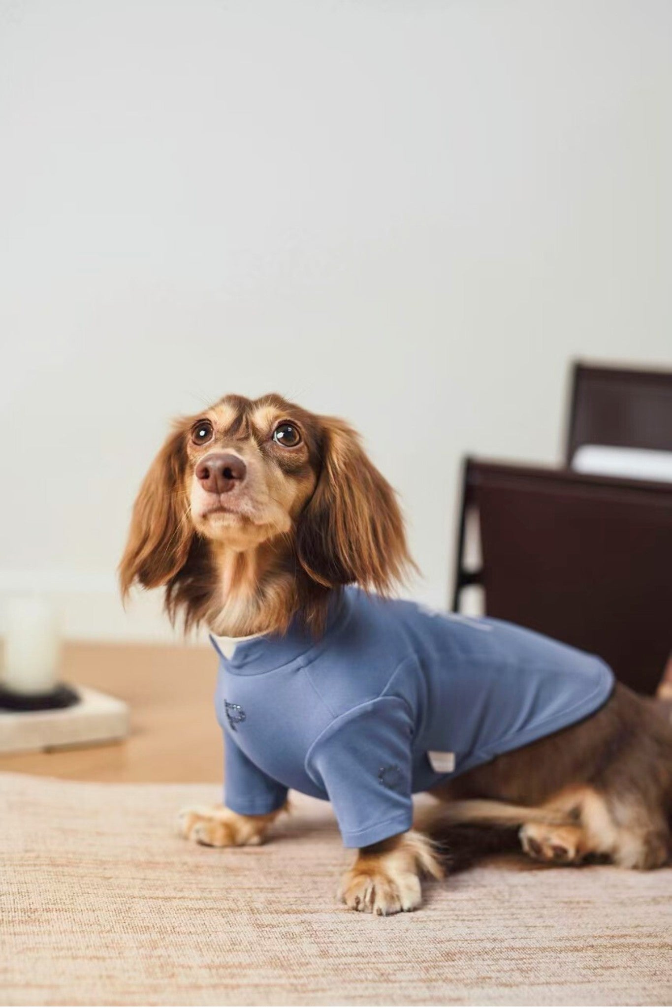 Luxury dog t-shirts that combine comfort, style, and breathable, fit for various dogs. Shop the best dog jersey to elevate your pet's wardrobe!#color_Blue Violet