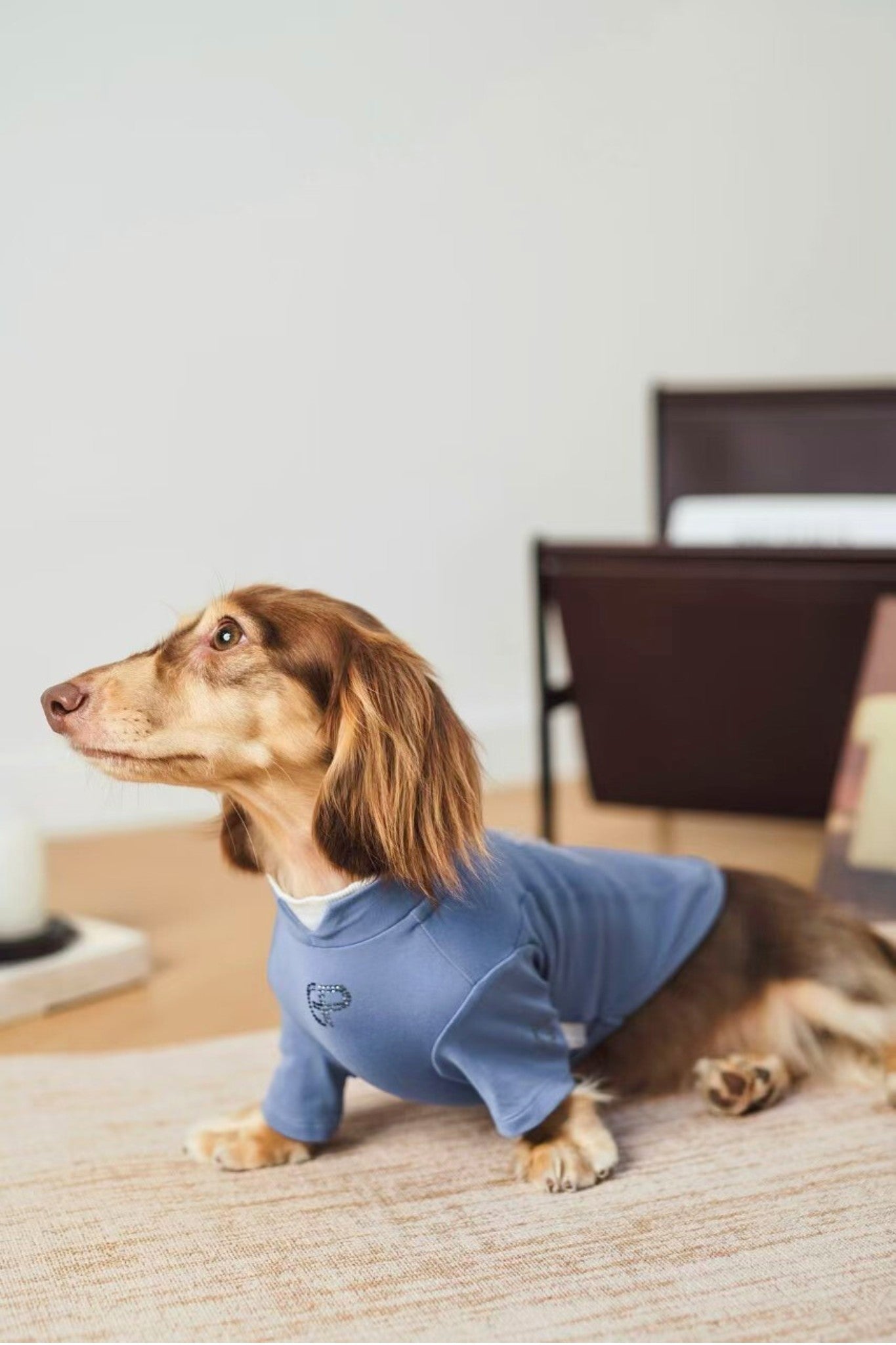 Luxury dog t-shirts that combine comfort, style, and breathable, fit for various dogs. Shop the best dog jersey to elevate your pet's wardrobe!#color_Blue Violet