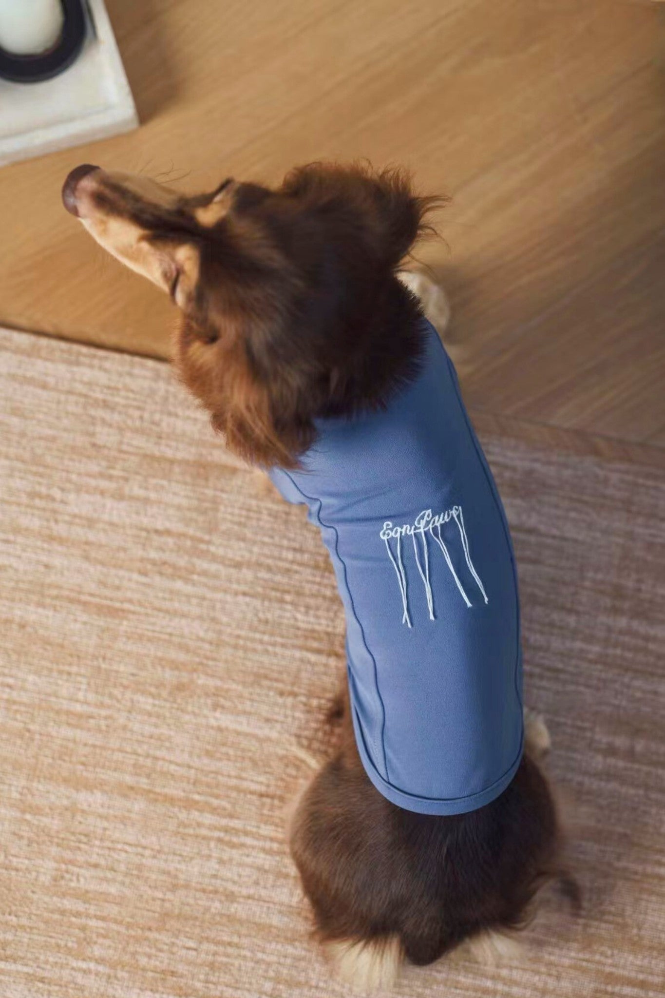 Luxury dog t-shirts that combine comfort, style, and breathable, fit for various dogs. Shop the best dog jersey to elevate your pet's wardrobe!#color_Blue Violet