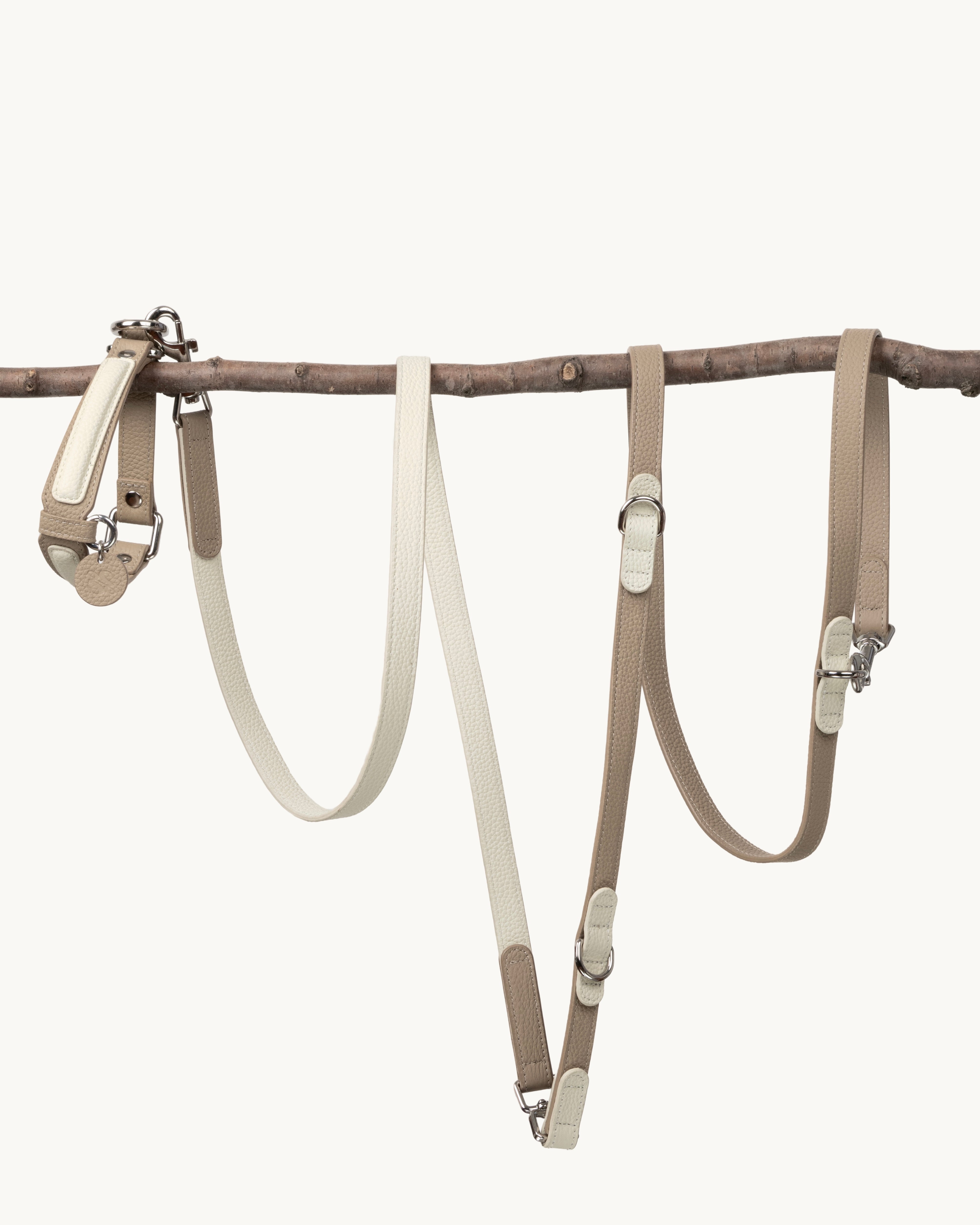 Gentle Fit Leather Dog Collar Set