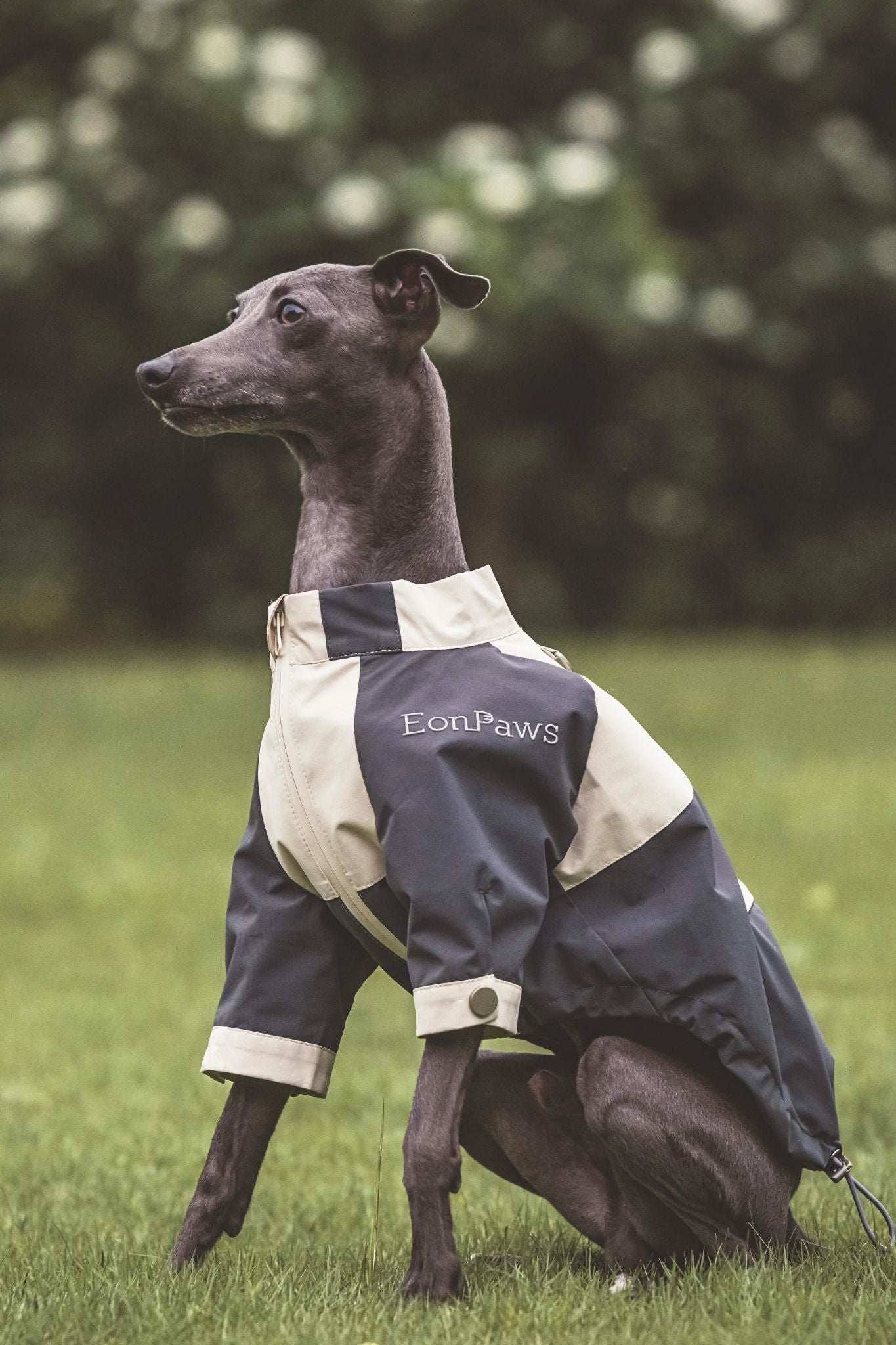 Best jacket staple for dogs, offering the perfect mix of high-end fashion and functional wear.Handcrafted with high-quality fabrics that keep your dogs dry, clean, warm, cozy, and comfortable as they look.#color_Grey&Beige