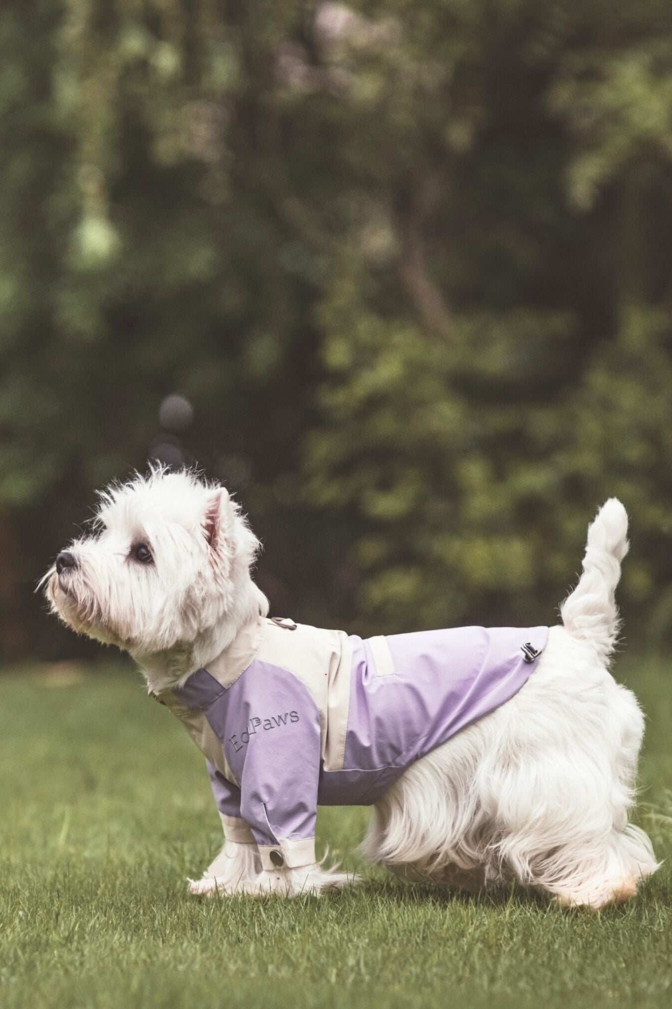 Best jacket staple for dogs, offering the perfect mix of high-end fashion and functional wear.Handcrafted with high-quality fabrics that keep your dogs dry, clean, warm, cozy, and comfortable as they look.#color_Taro Purple&Beige