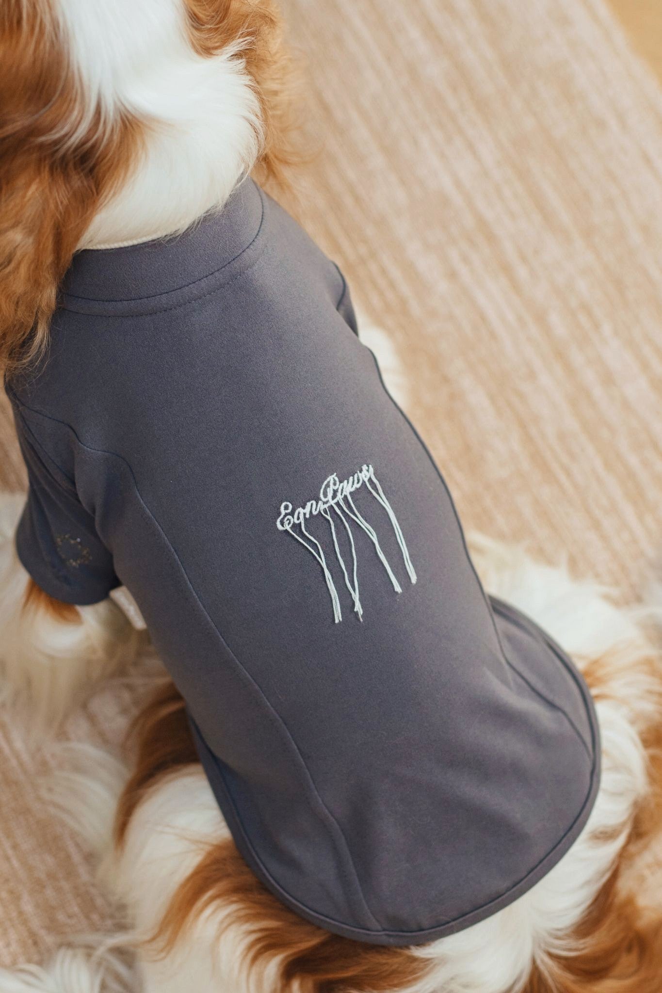 Luxury dog t-shirts that combine comfort, style, and breathable, fit for various dogs. Shop the best dog jersey to elevate your pet's wardrobe!#color_Hazy Grey