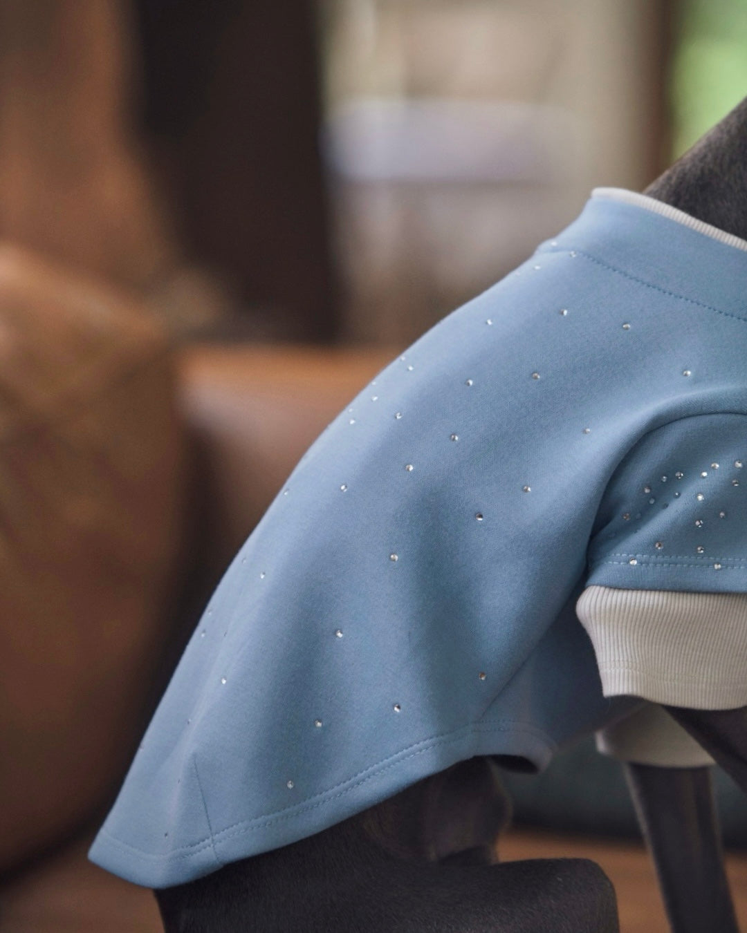 Rhinestone detail on dog crewneck#color_Pale Blue
