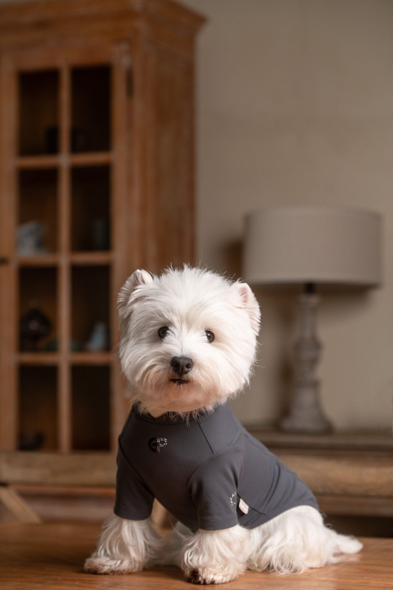 Luxury dog t-shirts that combine comfort, style, and breathable, fit for various dogs. Shop the best dog jersey to elevate your pet's wardrobe!#color_Hazy Grey