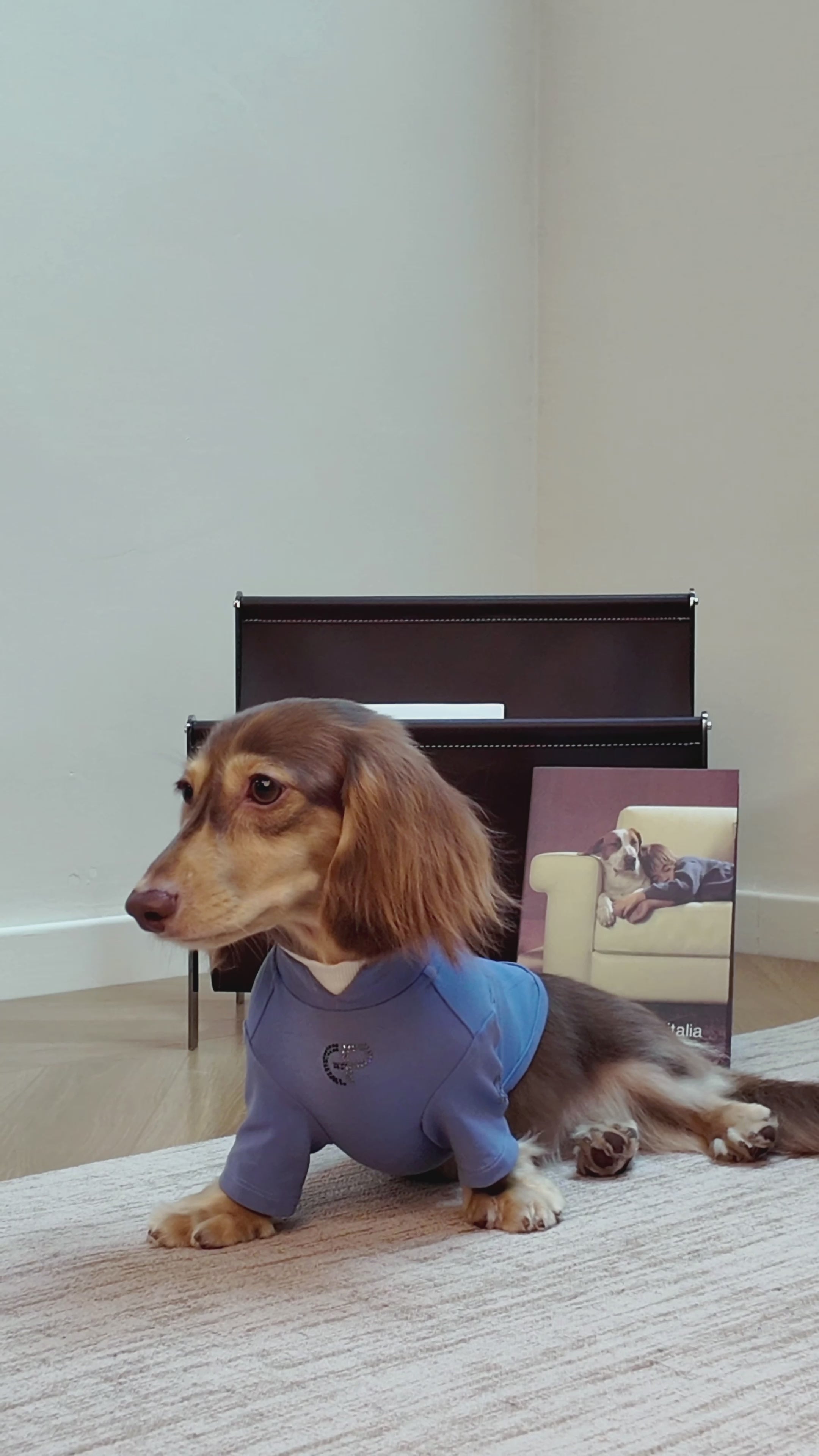 Luxury dog t-shirts that combine comfort, style, and breathable, fit for various dogs. Shop the best dog jersey to elevate your pet's wardrobe!#color_Blue Violet