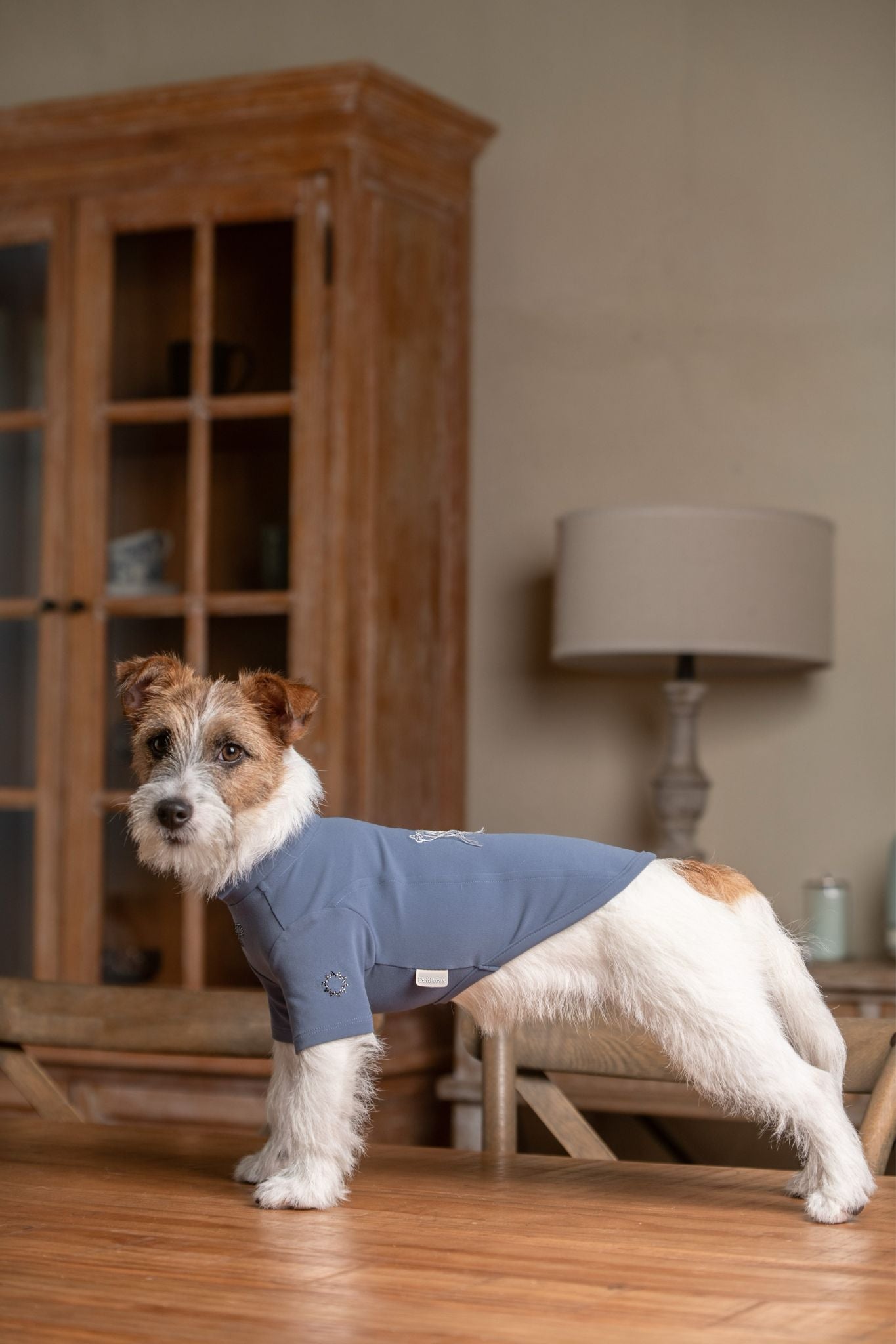 EonPaws Handcrafted Dog T Shirt Luxury Dog Clothing